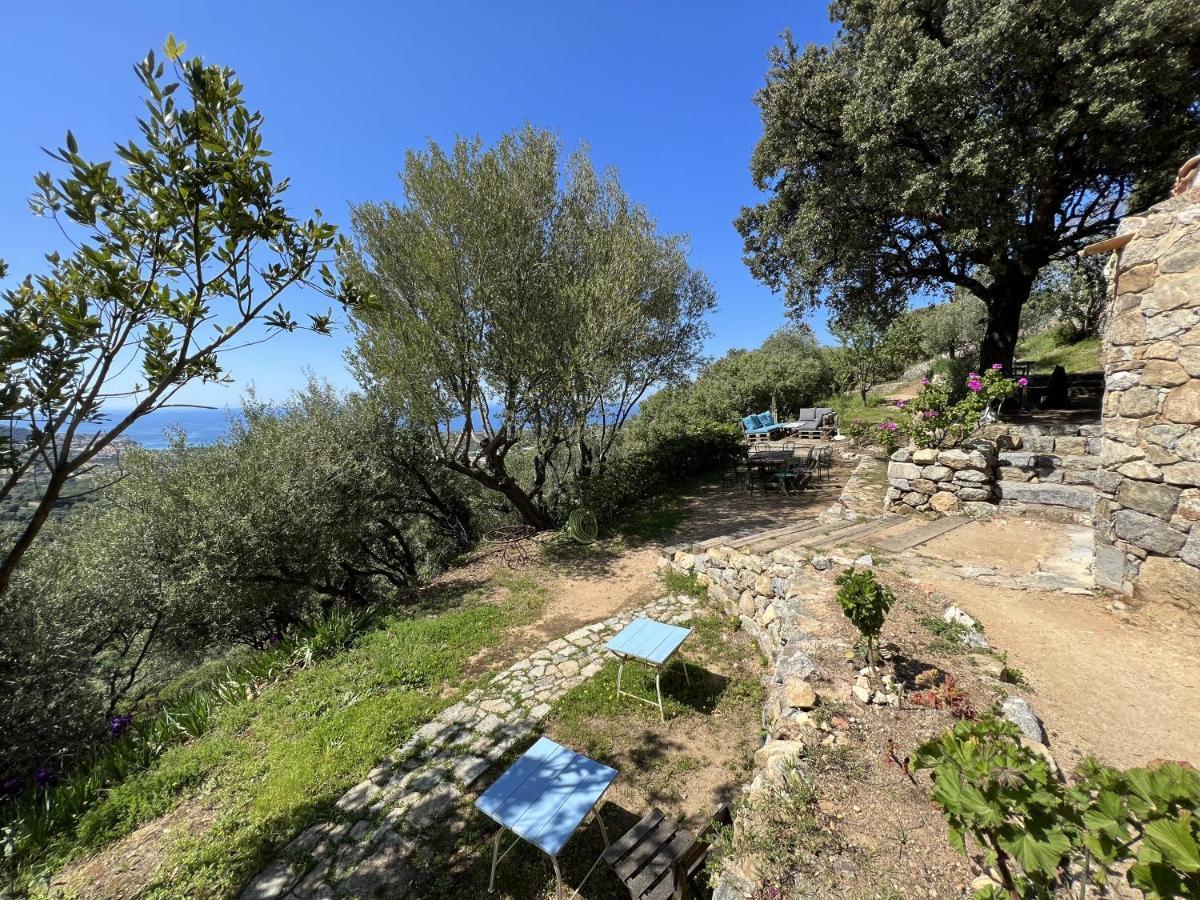 Casa Musicale Otel Pigna Dış mekan fotoğraf